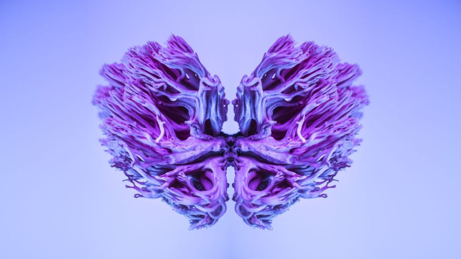 A surreal abstract image showcasing a vibrant purple fungi design, resembling a cerebellum, in vivid colors.