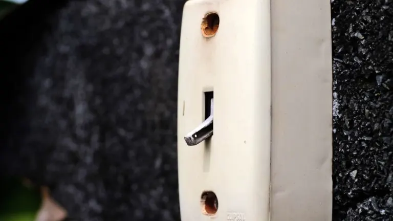 Close-up of a vintage wall-mounted electrical switch on a concrete wall with greenery.