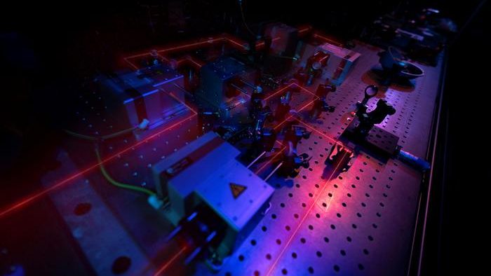 Clavina quantum photonic processor