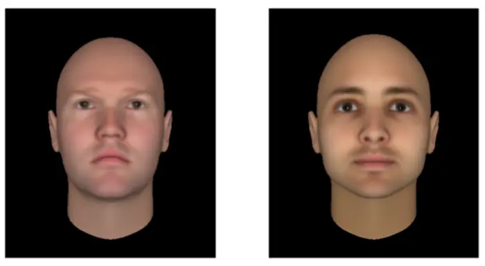 Computer-generated images used in the study with questions about trustworthiness. The face on the right is usually seen as more trustworthy by both humans and LLMs. CREDIT Alex Todorov