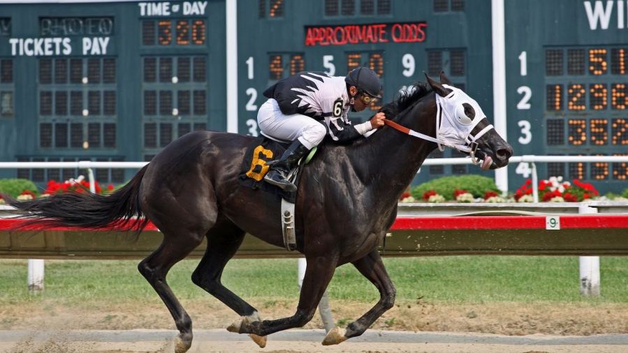 A thrilling horse race with a jockey in action, capturing the excitement of speed and competition.