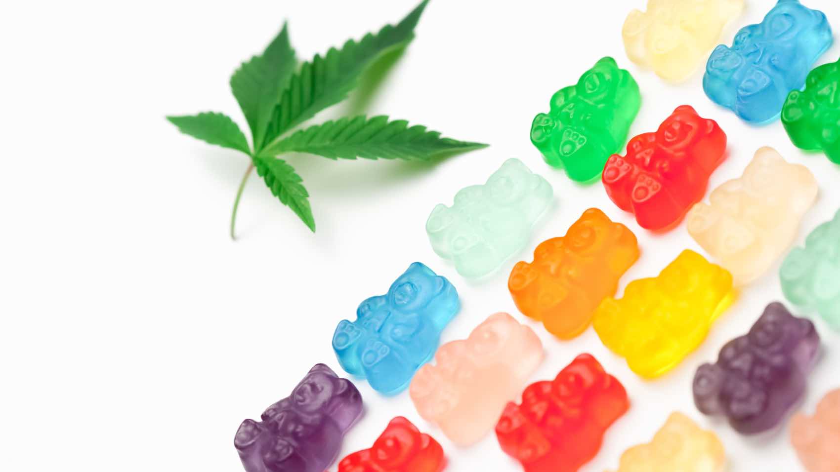 Vibrant gummy bears next to a cannabis leaf on a white background, symbolizing edible cannabis sweets.