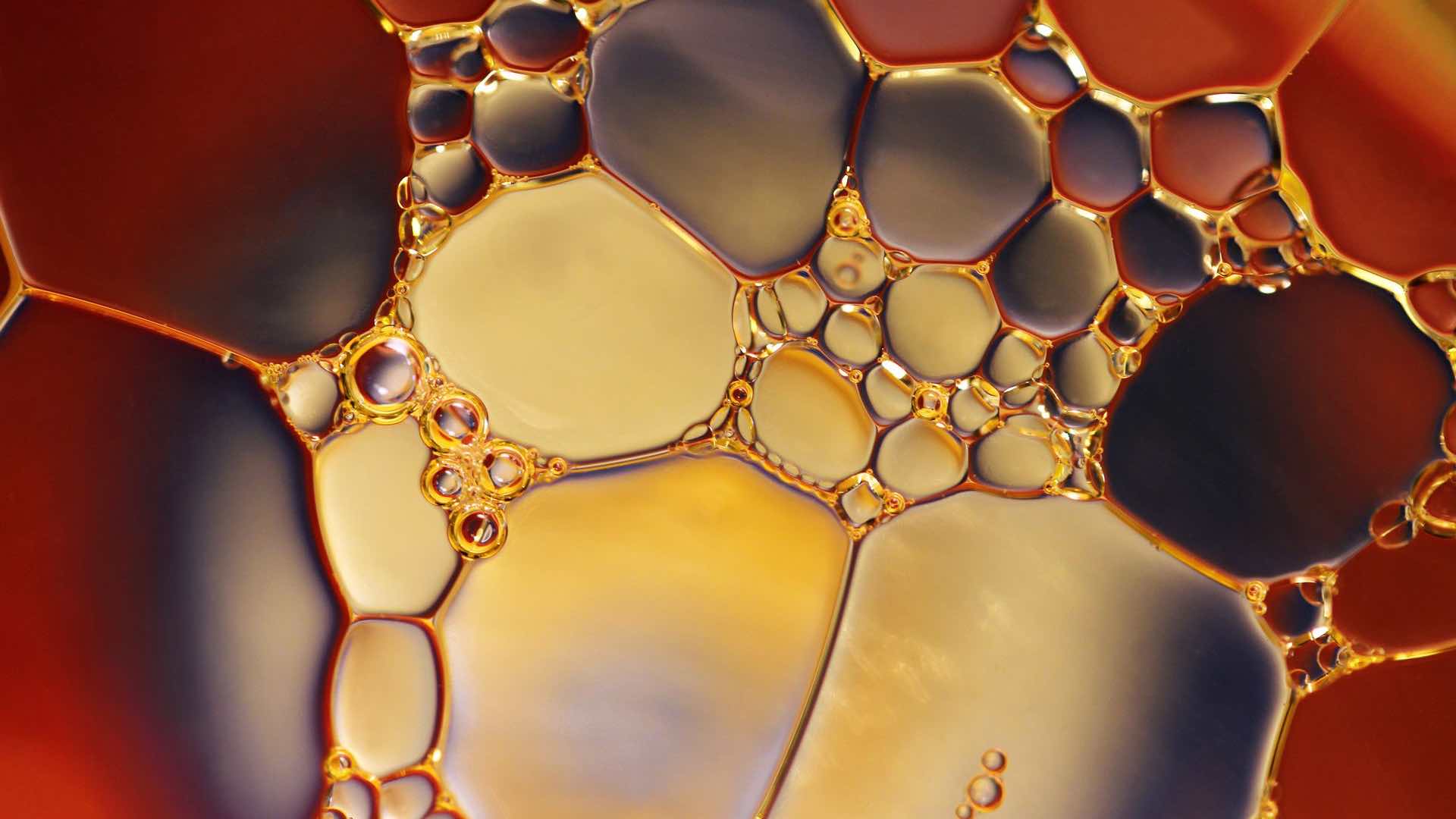 Close-up of colorful oil and water interaction creating a vibrant abstract pattern.