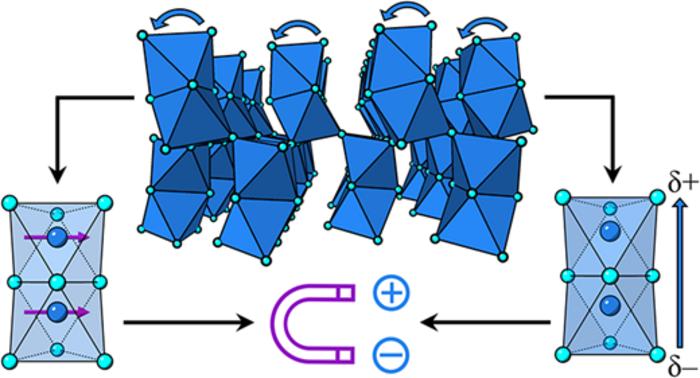 The new material is a form of strontium manganite and gets around this by using a simple structural trick: pairs of atoms inside its crystal structure tilt together in a coordinated way. This tiny shift is enough to generate an electrical charge across the material while also giving it a weak, switchable magnetism. CREDIT Struan Simpson, Urmimala Dey, Martin R. Lees, Ivan Da Silva, Nicholas C. Bristowe, Mark S. Senn