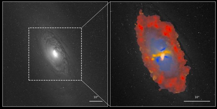 The galaxy NGC1386, shown in grayscale on the left and zoomed in to the central region on the right. The colors represent star formation in red, black-hole radiation in blue, and shocks in yellow. Image courtesy Peixin Zhu. CREDIT Created by Peixin Zhu