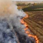A dramatic aerial shot of a field fire near White River, revealing striking contrast of flames and smoke.