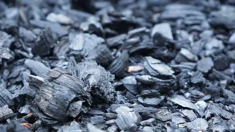 Detailed close-up of rough charcoal pieces spread outdoors, showcasing texture.