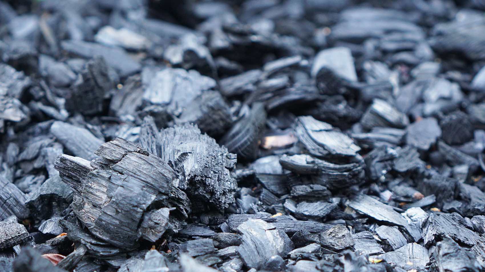Detailed close-up of rough charcoal pieces spread outdoors, showcasing texture.