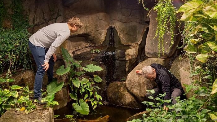 Malthe Kjær Bendtsen (left) while collecting plastics at the tropical zoo in Randers, Denmark CREDIT Andreas Møllebjerg, Aarhus University